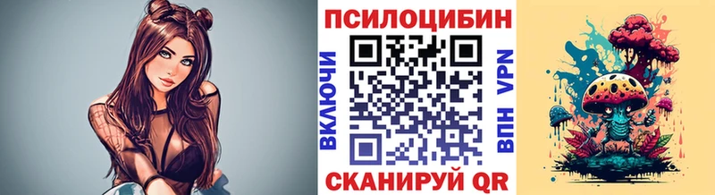 Псилоцибиновые грибы Psilocybine cubensis  Горбатов 