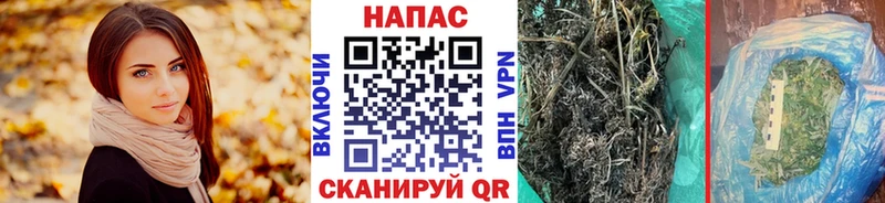 Бошки марихуана SATIVA & INDICA  Горбатов 